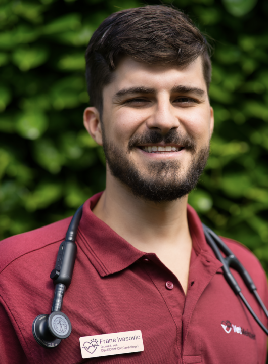 Dr. Frane Ivasovic ECVIM-CA (Cardiology)
